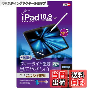 �y���������ziPad 11�C���` ��11���� 2025 / iPad 10.9�C���` ��10���� 2022 �p �t���ی�t�B���� ���˖h�~ �u���[���C�g�J�b�g �C�A���X���H Z0496