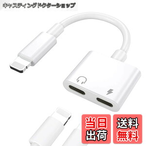 �y���������zTOMPOL �y2023MFi�F�ؕi�z iPhone �C���z�� �ϊ� �A�_�v�^ 2in1 ���C�g�j���O �[�d ���� ��҃P�[�u�� lightning �ʘb�����R�� ���y���� �}���[�d �A�b�v�������`�b�v iPhone14/13/12/Xs/Xs max/Xr/