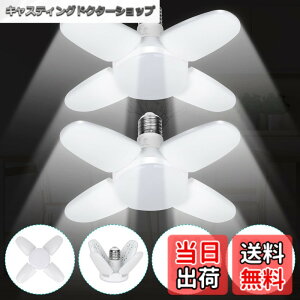 �y���������zJornarshar ���~�j LED���C�g �K���[�W���C�g 45W 2�� ���� ������LED�d�� 6500K �V��Ɩ� ��t�ȒP �H���s�v �p�x���߉\ �J�[�|�[�g �Ԍ� �q�� �[�� ��Ɠ� �����F