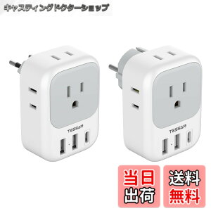 �y���������zTESSAN �ϊ��v���O C�^�C�v SE�^�C�v �C�O���s�p 4��AC������ 3USB�|�[�g�t�� �؍�/�C�^���A/�X�y�C��/�h�C�c ���[���b�p�Ȃǂ̍��ɑΉ�