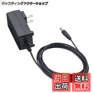 �y���������zZOOM �Y�[�� AC�A�_�v�^�[ DC9V�o�� AD-16