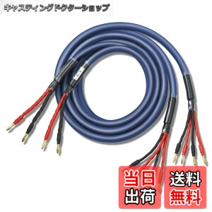 �y���������z�y�o�C���C���[�z WYVERN AUDIO �ɑ� �������x�� 12�c �o�i�i�v���O�t �����i HIFI �o�C���C�������O�ڑ� �o�C���C���[ �X�s�[�J�[�P�[�u�� 2�{1�g LR�Z�b�g �i�u���[�j �yWVA-04BW12�z 