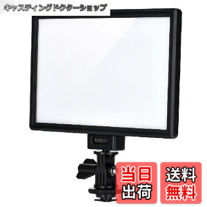 �y���������zVILTROX led�r�f�I���C�g �B�e�p���C�g L116T L132T VT-300T �Ɩ� �B�e ���C�g �F�FL116T �P�x+�F���x����