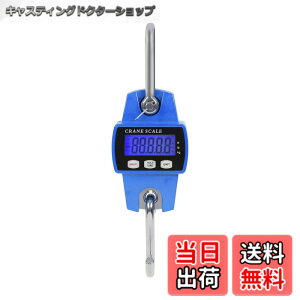 �y���������zSTEELMIGHT LCD�f�W�^���\���N���[���X�P�[�� �P�ʐؑ։\ �g�ю� �݂蔉 ���� �Y�Ɨp �F�F�u���[�A�T�C�Y�F300kg