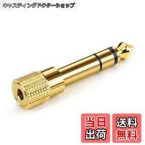 �y���������zAncable �C���z���W���b�N �ϊ� �v���O �X�e���I�~�j�v���O 6.35mm 3.5mm �ϊ� �A�_�v�^ ���X�I�X �w�b�h�z�� �A���v �d�q�s�A�m �C���z���ȂǗp �T�C�Y�F1-Pack