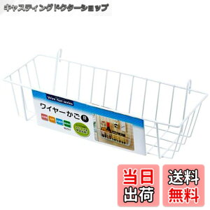 �y���������z�G�R�[���� ���C���[����(B�^�C�v) 31cm 0606-256 �z���C�g �F�F�z���C�g