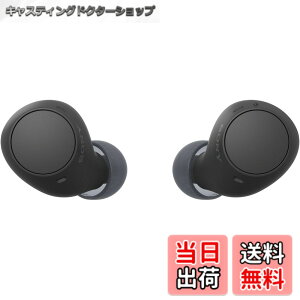 �y���������z�\�j�[(SONY) ���S���C�����X�C���z�� WF-C500/WF-C510 :/�����x�ʘb�i��/IPX4�h�H���\ �F�F�u���b�N�A�T�C�Y�F���^�y��