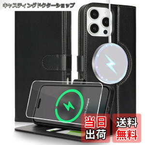 �y���������zSZBQBmagsafePW for iPhone16 leather case �F�F�u���b�N�A�T�C�Y�FiPhone 16 Pro