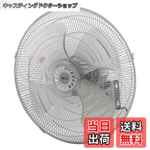 �y���������z�L�d(KODEN)�A���~�H���H�Ɛ� �F�F���C�g�O���C�A�T�C�Y�F�Ǌ|�^