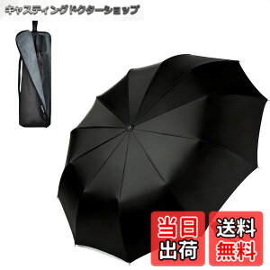 �y���������zTAIKUU �܂肽���ݎP �����Y 12�{�� �y290g�̒��y�ʚƗہz 102cm �傫�� ��v ��� �蓮�J�� �܂��ݎP �y�� �ϕ� ���ɋ��� 12�p���_ 210T������ �P�P�[�X�t�� �G��Ȃ����[ PRO-12 AIR �F