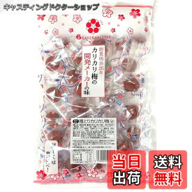【送料無料】赤城フーズ 種とりカリカリ梅 210g サイズ：210gx1袋