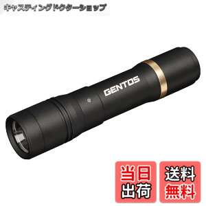 �y���������zGENTOS(�W�F���g�X) �����d�� LED���C�g �[�d�� 200~900���[���� ���N�V�[�h RX-285R/RX-286R/RX-304R/RX-386R/RX-486PB �F�F�u���b�N�A�T�C�Y�F���a30.1x135.7mm