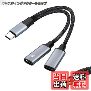 �y���������zLeTradeJP2in1�^�C�vC�C���z���ϊ��P�[�u�� Type-C�C���z���W���b�N PD�}���[�d�A�_�v�^ �����ʘb/���ʒ���/���y�C���z�� ��� ���ϋv �i�C�����҂� �ڑ��P�[�u�� �Ή��i 3.5mm�C���z