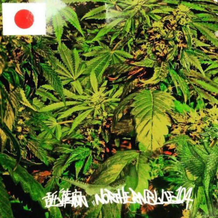 楽天市場】舐達麻 / NorthrenBlue 1.0.4. [CD] : CASTLE RECORDS