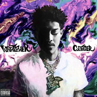 Cz TIGER / WHATEVER [CD]