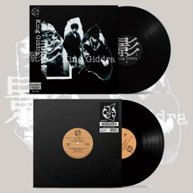 楽天市場】LIBRO / なおらい [12inch(2LP)] : CASTLE RECORDS