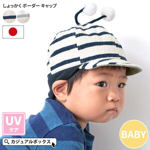 yN[|10%OFFI9/19 12zy{zxr[ F  {[_[ Lbv | 6`1 48cm j̎q ̎q H ~ H~ Hp ~p Ԃ  Xq ڂ  킢