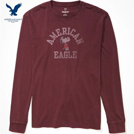 送料無料 アメリカンイーグル tシャツ メンズ Tシャツ American Eagle Outfitters