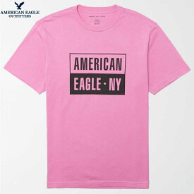 アメリカンイーグル tシャツ メンズ American Eagle Outfitters
