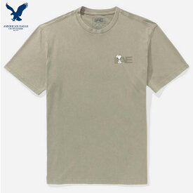 アメリカンイーグル tシャツ メンズ American Eagle Outfitters