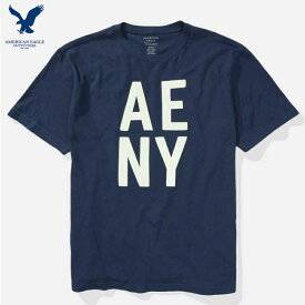 アメリカンイーグル tシャツ メンズ American Eagle Outfitters