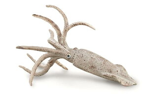 COLLECTA tBMA xiCg 88904