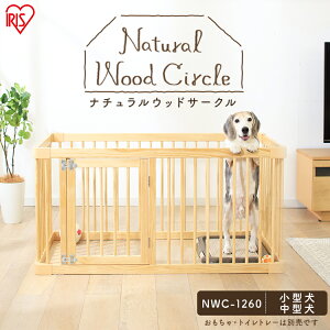 i`EbhT[N i` NWC-1260ybgT[N VR Ck   T[N ybgP[W ybgT[N p 