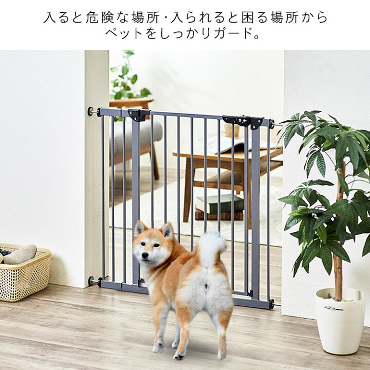 楽天市場 ペットゲート ゲート フェンス 犬 ペットゲート ドア付き 突っ張り ペットフェンス ペット ゲート 高さ78cm 犬用 猫用 ペット用 脱走防止 キッチン ロック おしゃれ シンプル 柵 ベビーゲート セーフティゲート 安全ゲート スチールゲート 7 キャットランド 楽天市場 ペットゲート ゲート フェンス 犬 ペットゲート ドア付き 突っ張り ペットフェンス ペット ゲート 高さ78cm 犬用 猫用 ペット用 脱走防止 キッチン ロック おしゃれ シンプル 柵 ベビーゲート セーフティゲート 安全ゲート スチールゲート 7 キャットランド