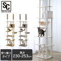 キャットタワーキャットタワー突っ張りつっぱりネコ猫遊び道具室内ペット用品ペット突っ張りキャットタワー