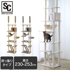キャットタワー 突っ張り 突っ張りキャットタワー CCCT-4060T スリム 省スペース 猫タワー 猫 子猫 ベージュ 爪とぎ 爪研ぎ ポール 屋上 ハンモック はしご ハウス おしゃれ インテリア はしご ブラウン グレー ベージュ【AR対象】