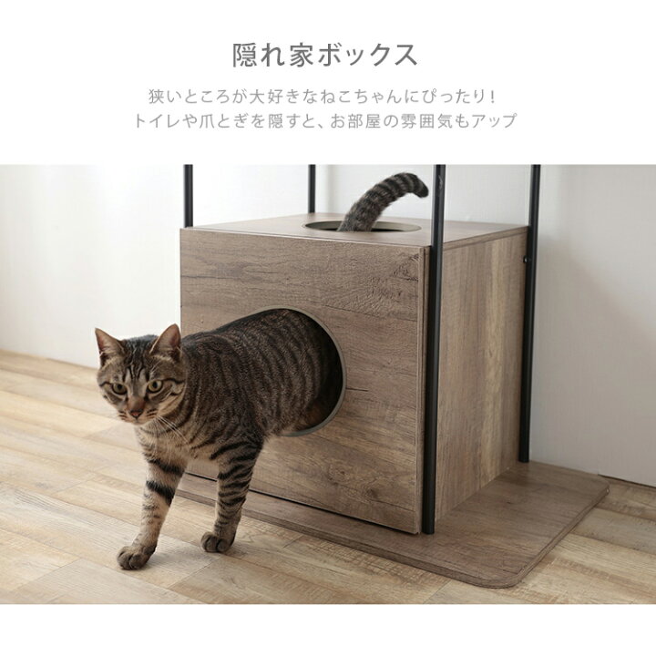 新品送料無料 犬と猫と私 おもちゃ インテリア ブルー 遊び 子猫 ペッ 簡 猫 光るキャットタワーボール付き 319 付与