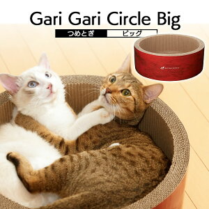 [5̕t̓Gg[J[hpP4{]܂Ƃ ܌ L xbh {E p ܂Ƃ 傫 _{[ ~^ ی^ MJU KKT[N XgX ߂Ƃ  i{[ _{[