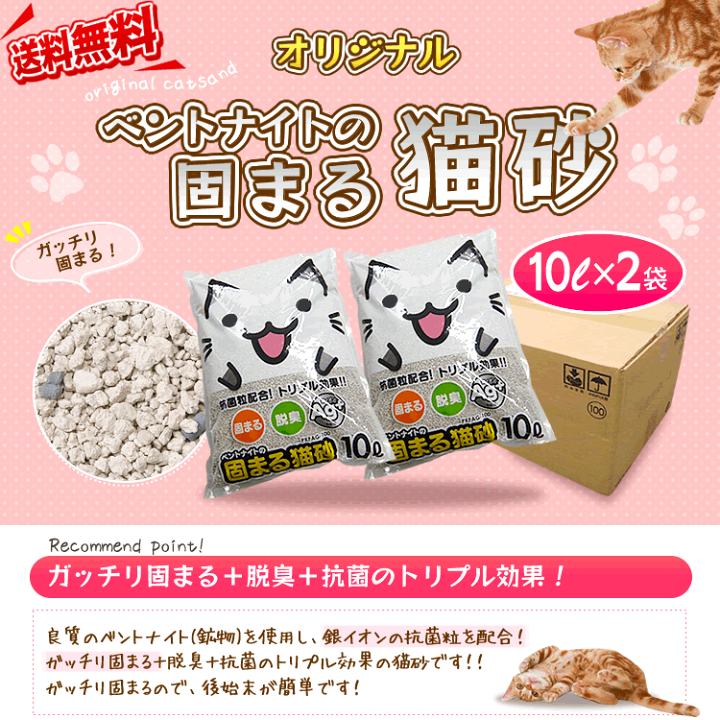 【ねこまる】ページ　　リクエスト商品のため ネコまる 夏秋号 vol.44 (発売日2022年05月20日) | 雑誌/定期