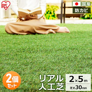 _SALEI20%OFF^y2ZbgzlH [ AlH IP-3025 IP-3025  lH lHŃ}bg Ń}bg AlH lHŐ Ő G΍ [^Cv 2×5m Ő[ Ń[ 