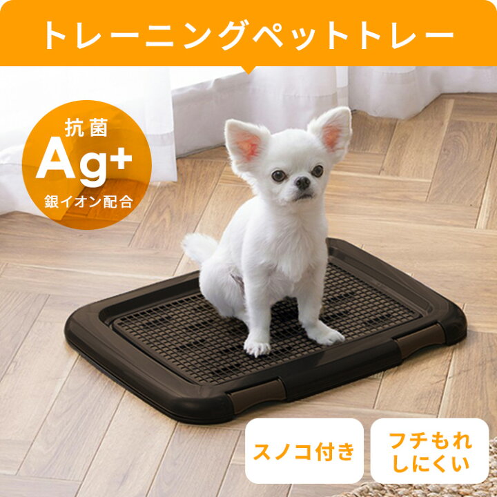 楽天市場】犬 ケージ スターターセット 5点 サークル 室内 小型犬 給水 