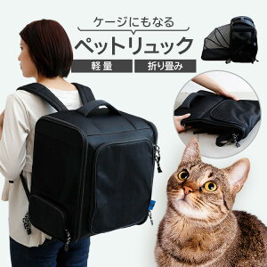 �y�ő�400�~OFF�N�[�|���I�����ɂ��DAY�z�y�b�g �y�b�g�p�i �� NO ALIKE �y�b�g�����b�N �y�b�g�����b�N �y�b�g�L�����[ �y�b�g�����^�� NO ALIKE ���p�i �R�� ���L �o�b�N�p�b�N ���s�����b�N �V