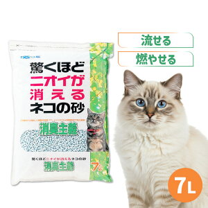 [ő400~N[|ɂDAY]L L gC lR̍ L` 7L L L gC L {rAR  VJQ ł܂  q {rAR L L gC L {rA