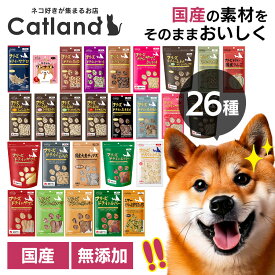 【LINE追加で最大2,000円OFF】犬 おやつ 無添加 フリーズドライ ママクック ドッグフード 犬 フード おやつ ササミ とうふ ビスケット 牛モモ肉 豚ハツ レバー タンパク質 さつまいも ワカサギ マグロ 納豆