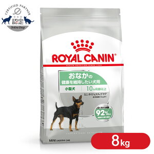 [ő400~OFFN[|ɂDAY]~j _CWFXeBuPA 8kg  hbOt[h hC ` ^ ȂN 8kg z P[iC H CJi yrcdb65z