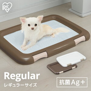 gCg[ g[jO  􂦂 gC g[ gC  ybg p gC {  gC gC ȒPւ ACXI[} t`ꂵɂ h~ 48.5cm FMT-485[