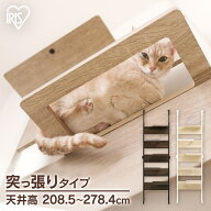 ＼クリアステップで肉球が見える／キャットステップ 壁掛け 賃貸 突っ張り キャットウォーク キャットタ…