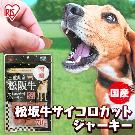 犬 ジャーキ— ビーフジャーキー 犬 おやつ サイコロジャーキー 70g P-KJ-MS70 ジャーキー 牛肉 ビーフ 犬用 ドッグフード おやつ ペットフード イヌ いぬ 犬 ペット[DP]