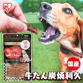 犬 ジャーキ— ビーフジャーキー 犬 おやつ 70g P-KJ-RG70 ジャーキー 牛肉 ビーフ 犬用 ドッグフード おやつ ペットフード イヌ いぬ 犬 ペット[DP]