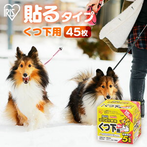 y45z΍ ̎U JC \ \JC CpJC 45 (15×3)   ߂ ĝăJC C p ĝ O W[ X|[cϐ ʋ ʊw ~ h