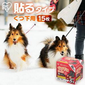 y15z΍ ̎U JC \ \JC CpJC 15  ubN ڗȂ   ߂ ĝăJC C p p ĝ O W[ X|[