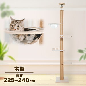 [2̓Lbghf[!!]Lbg^[ ˂ ؐ FD    LbgnEX ς莮 ˒AX`bN^[ oRj[ 1011103004܂Ƃ  ȃXy