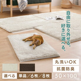 【LINE追加で最大2,000円OFF】ジョイントマット ラグ おしゃれ 洗えるジョイント JTR-S5010 ベージュ ブラウン 大判 厚手 ジョイント タイルカーペット ユニット マット 絨毯 50×100 100×50 抗菌 防臭 防ダニ 低ホルム アイリスオーヤマ【su04】
