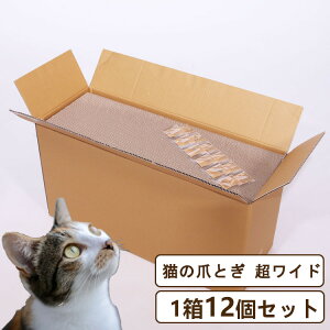 y10%OFFN[|I420X^[gz_yVLO1ʁ^L ܂Ƃ p _{[ e i{[ p ܌ ܂ ݂ D݃\[X e ܂Ƃߔ  20