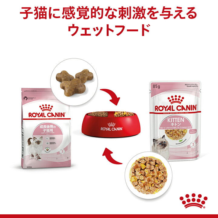 楽天市場】ロイヤルカナン 猫 猫用 フード 猫用フード 正規品 FHN 