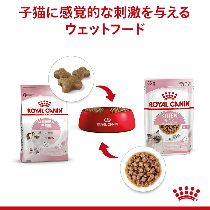 楽天市場】【□最大400円OFFクーポン｜要事前取得】【3種セット 